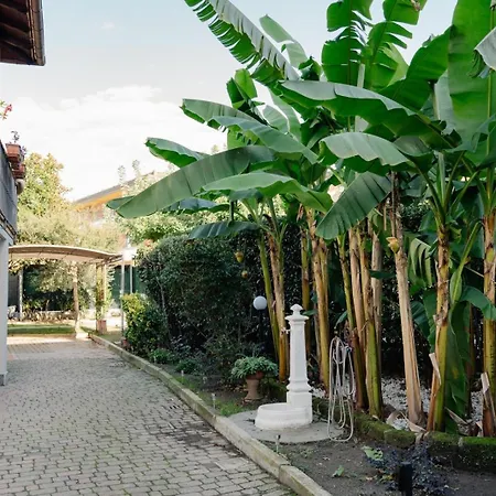 La Casetta Dei Sogni - Giardino Privato & Parcheggio- Vicino Cinque Terre La Spezia
