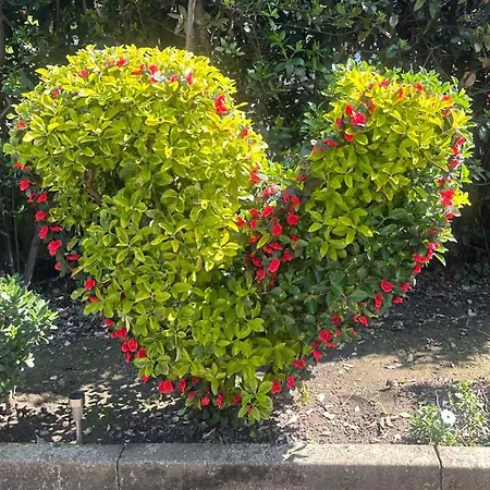 La Casetta Dei Sogni Casa Con Giardino E Parcheggio Privato Vicino Alle Cinque Terre Дом отдыха Специя